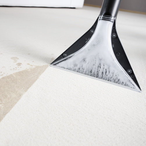 Karcher Carpet Cleaner