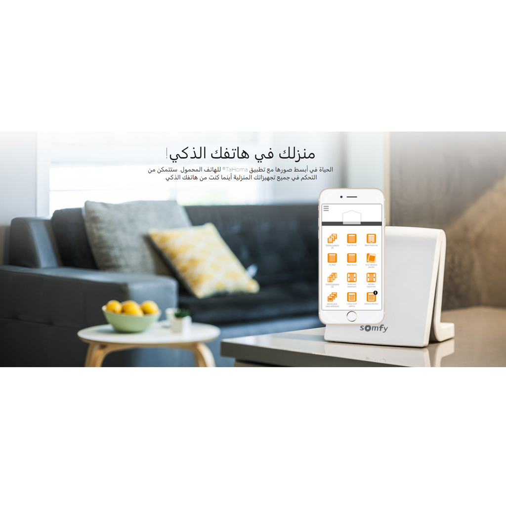 Somfy Smart Home Kit