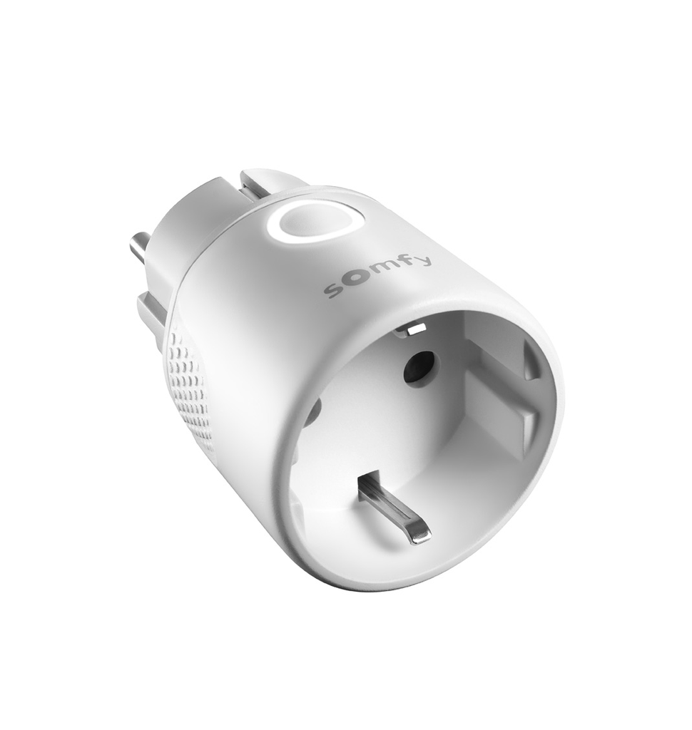 Somfy OnOff Plug io F-Type |