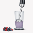 Severin Hand Blender  (3772)