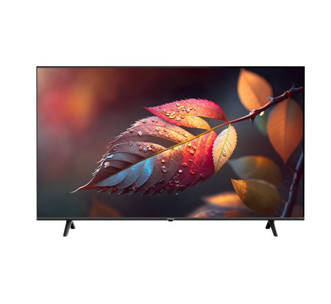 65" G Guard LED Smart TV 4K Sound GoogleTV - Legacy