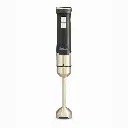 Hand Blender 1000W DCmotor - SS