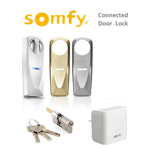 [hSmfDrLkGA] Somfy Connected DoorLock & Internet Gateway