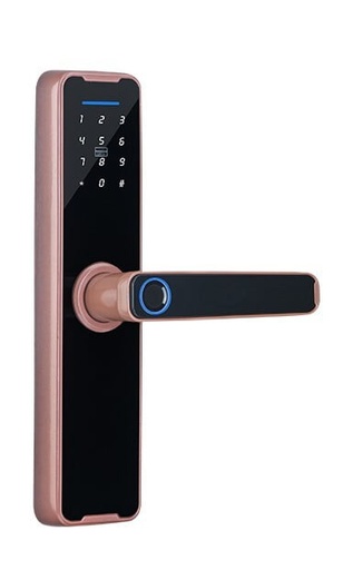 [hTmt610SPC] Automa 610 Tuya WIFI Version Smart Lock with Fingerprint - Copper
